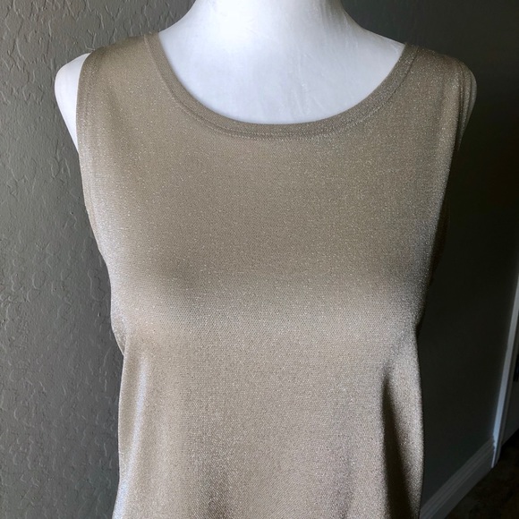 Vintage Express Shift Dress Size Small Champagne - Picture 2 of 6